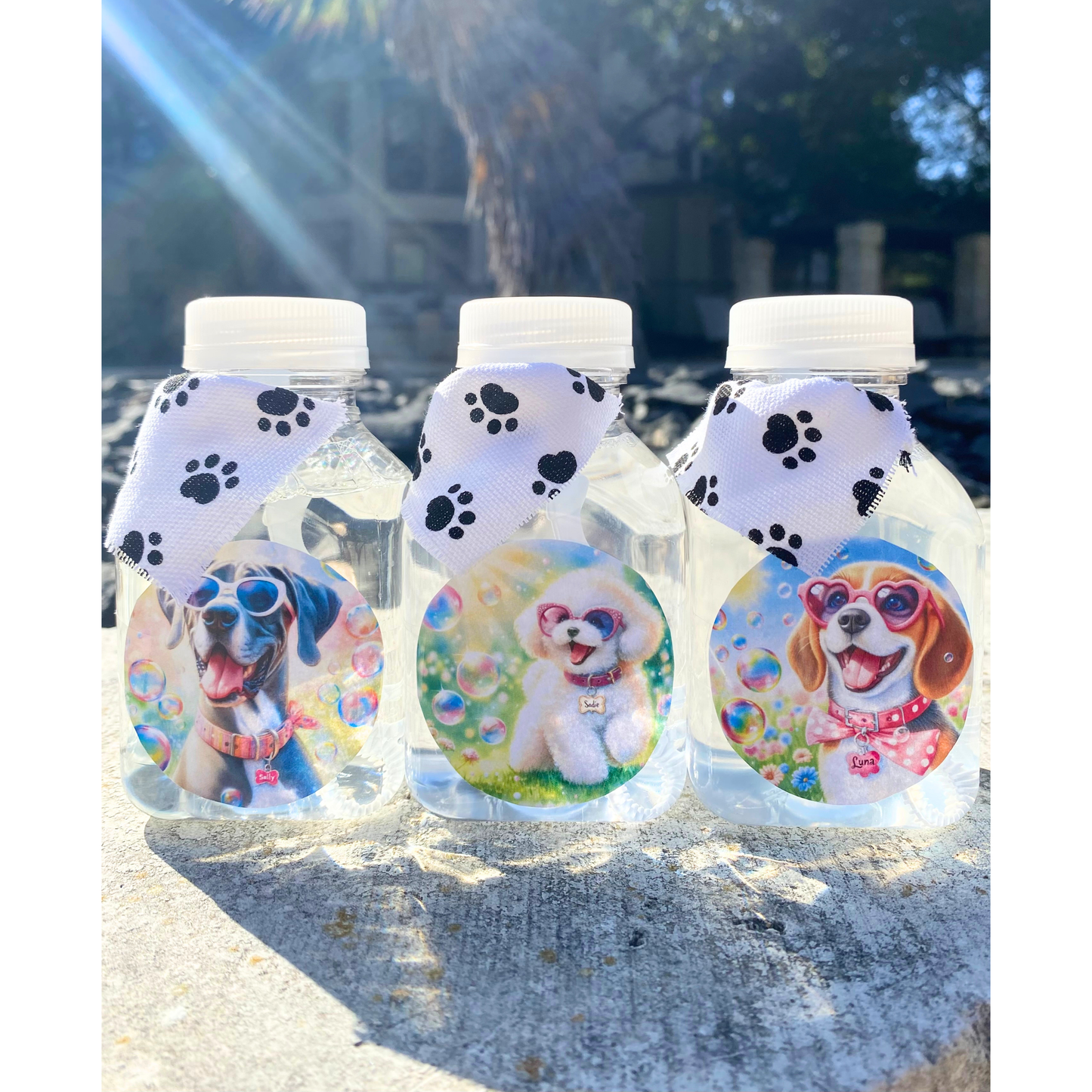 Lickable Dog Bubbles 🐾 Sunny Days