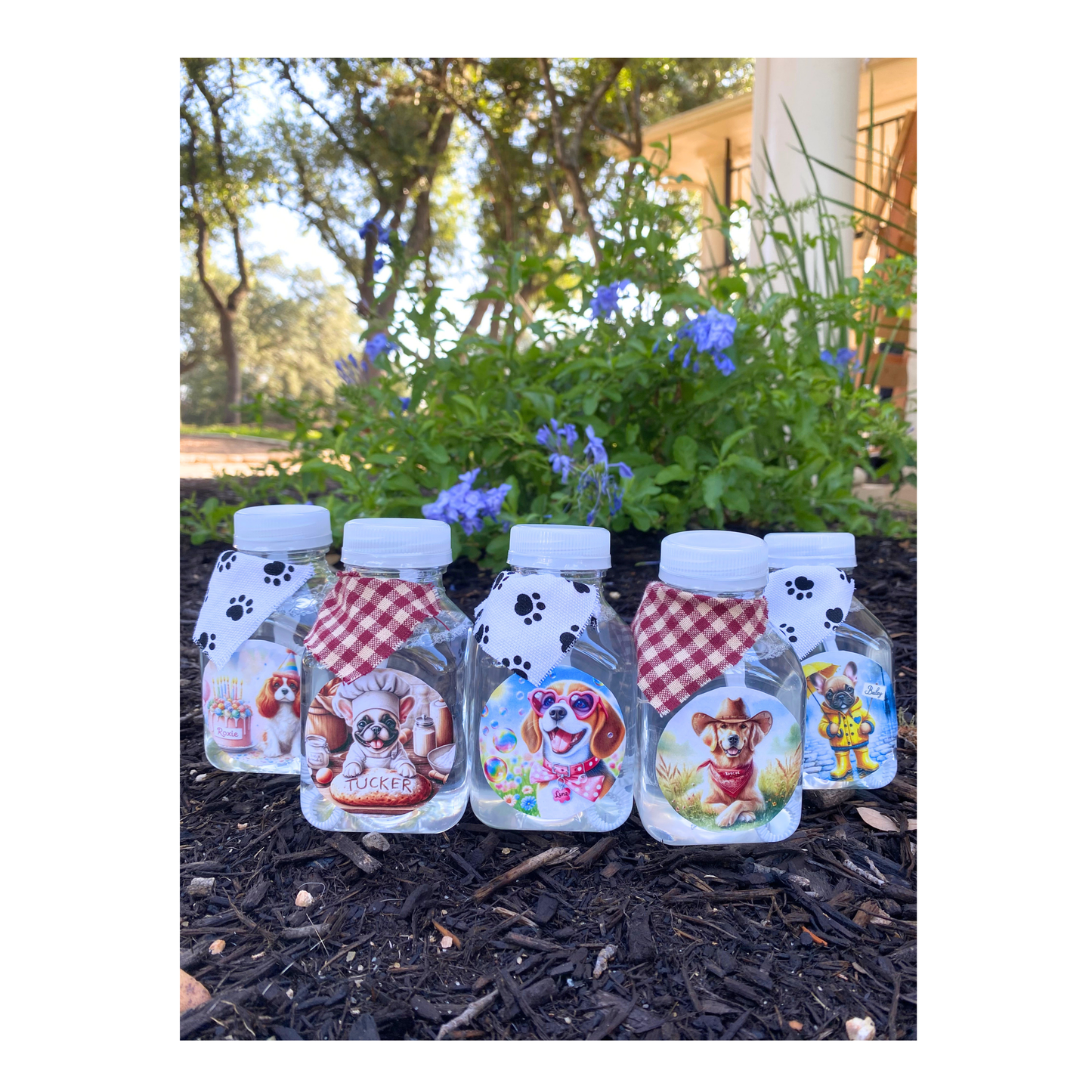 ✨🐶 Dual Pack 🐶✨  Lickable Dog Bubbles