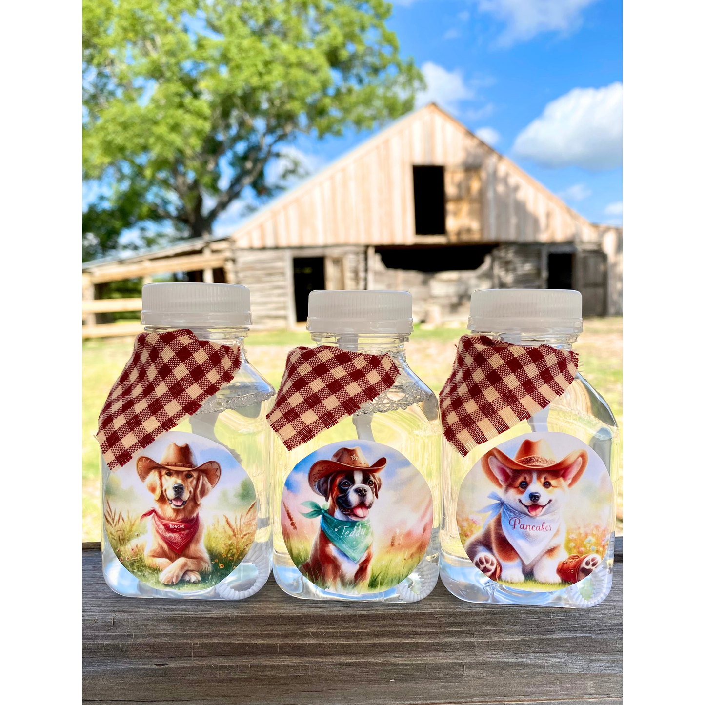 Lickable Dog Bubbles 🐾 Western