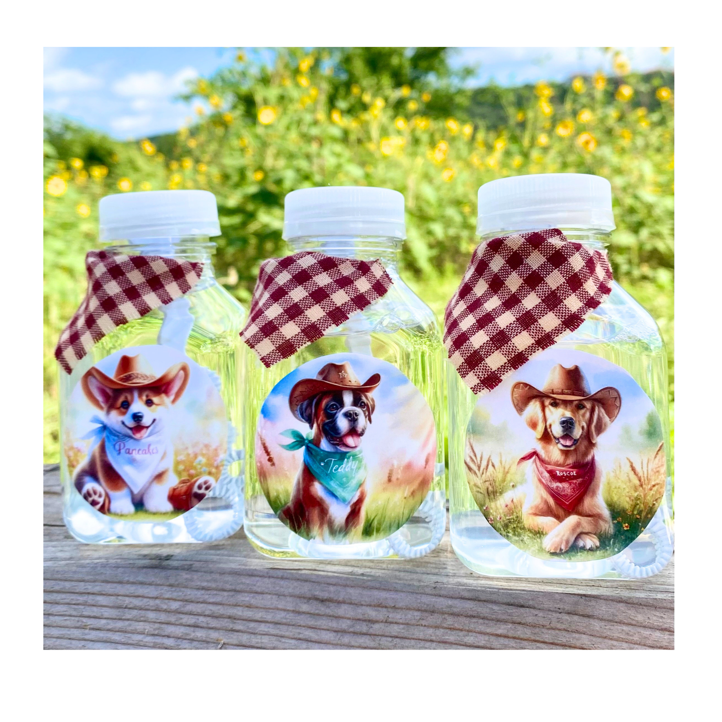 Lickable Dog Bubbles 🐾 Western